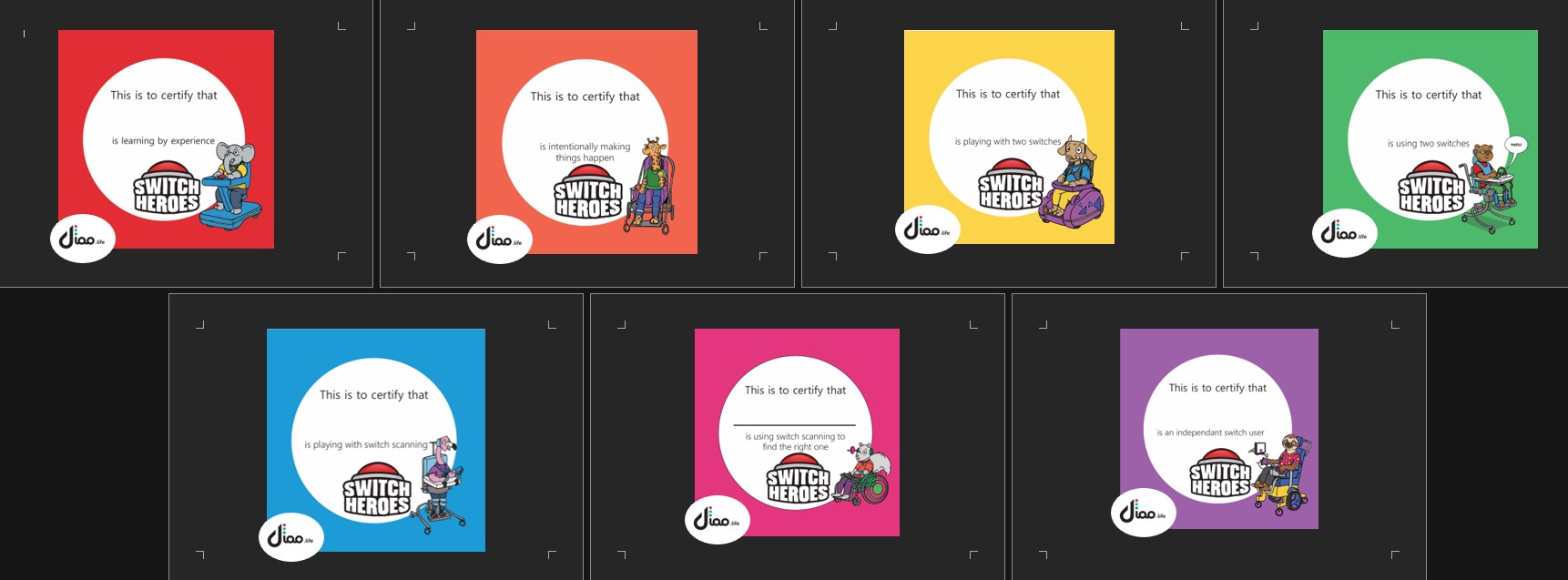 The switch heroes Certificates samples